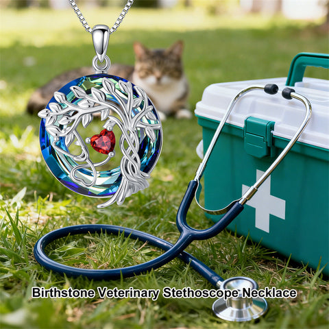 Sterling Silver Birthstone Caduceus & Stethoscope Pendant Necklace