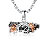 Sterling Silver Frog Flag Puerto Rico Pendant Necklace