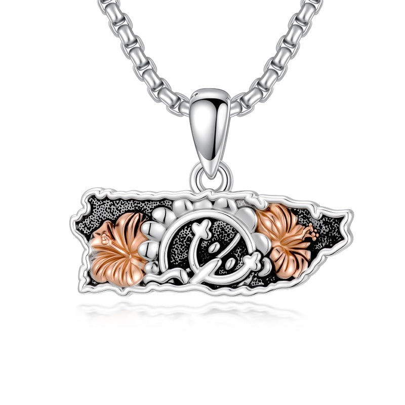 Sterling Silver Frog Flag Puerto Rico Pendant Necklace