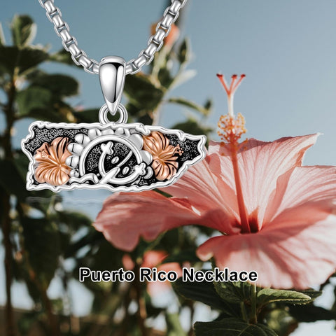 Sterling Silver Frog Flag Puerto Rico Pendant Necklace