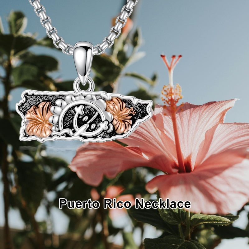 Sterling Silver Frog Flag Puerto Rico Pendant Necklace