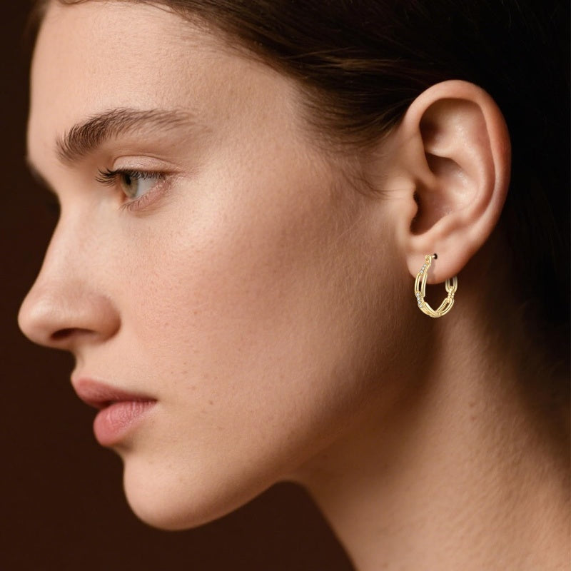 14K Gold Plated Cubic Zirconia Trendy Cable Design  Earrings for Women
