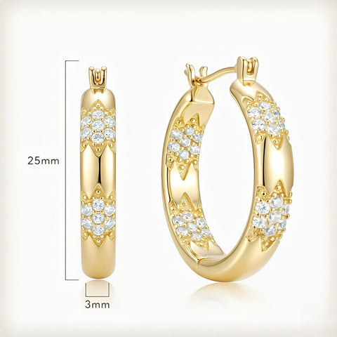 14K Gold Plated Cubic Zircon Hoop Earrings