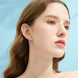 Sterling Silver Raccoon Cat Hoop Earrings