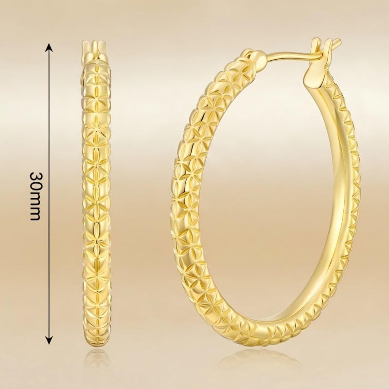 14K Gold Plated  Lightweight Hoop Earring for Women