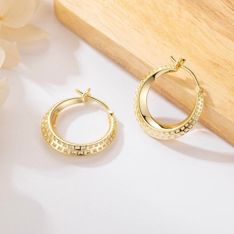 14K Gold Plated Lightweight & Small Hoop Earrings for Women
