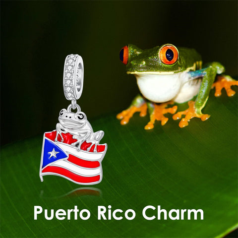 Sterling Silver Coqui Frog Flag Puerto Rico Charm Beads