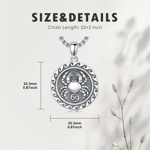 Sterling Silver 12 Zodiac Astrology Horoscope Pendant Necklace