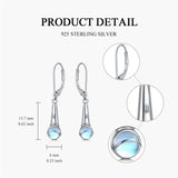 Sterling Silver Microphone  Saxophone Accordion  Clarinet Guitar Harp Leverback Earrings Gifts for Music Lovers