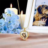 Stainless Steel Personalized Photo Engraved Heart Urn Necklace for Ashes